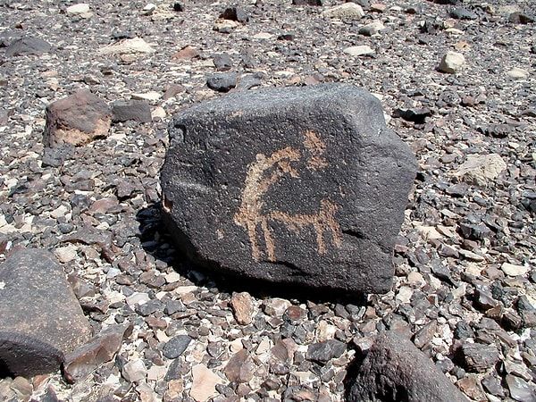 Sina’da Büyük Tarih: 10 Bin Yıllık Arkeolojik Alan Keşfedildi