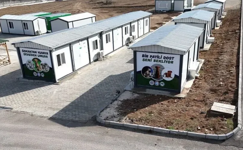 Isparta’da Sahipsiz Hayvanlar İçin 100 Bin Metrekarelik Dev Merkez Açıldı