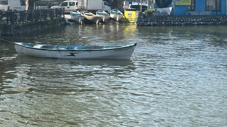 Bursa Uluabat Gölü’nde 10 Yıl Sonra Sevindiren Gelişme